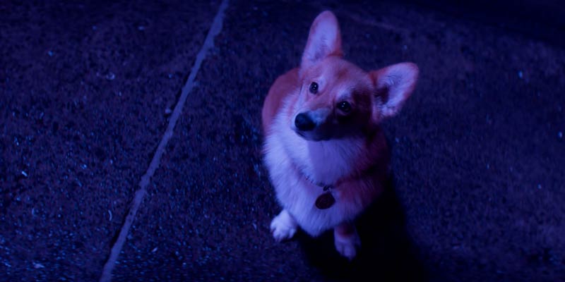 Image from Cowboy Bebop